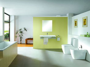 2013年十大衛(wèi)浴品牌排名與衛(wèi)浴潔具選購指南